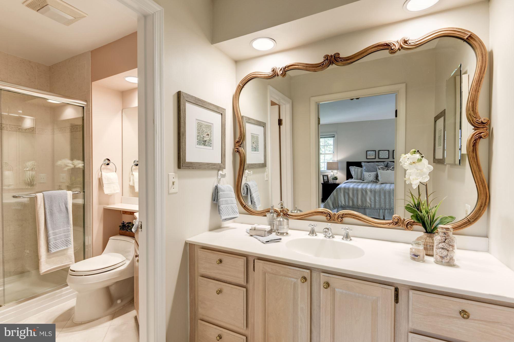 6200 Long Meadow Road McLean, VA 22101 - Photo 14 of 29 Bath (Master)