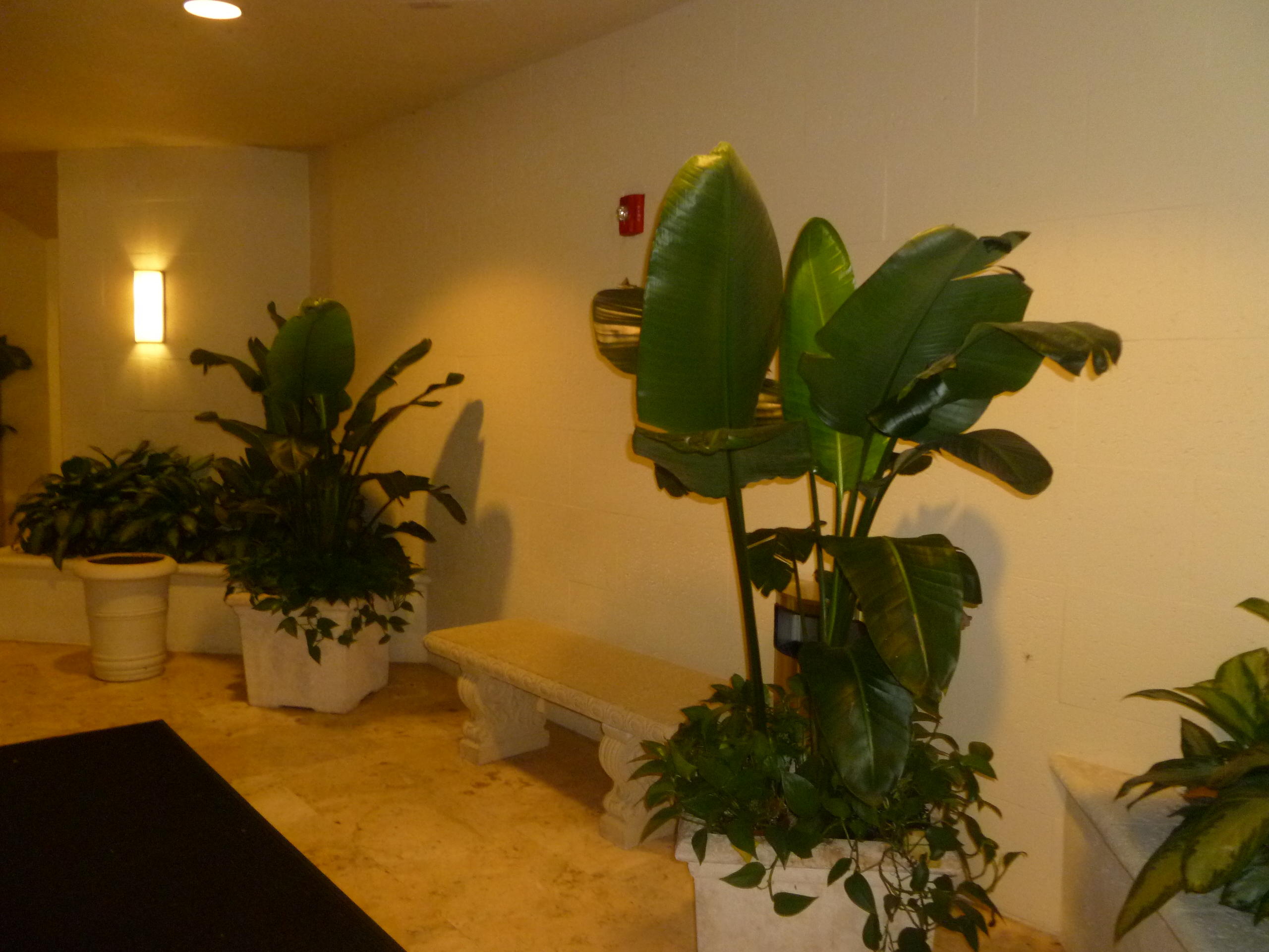 99 Southeast Mizner Boulevard, Unit 712 Boca Raton, FL 33432 - Photo 16 of 35 Entrance