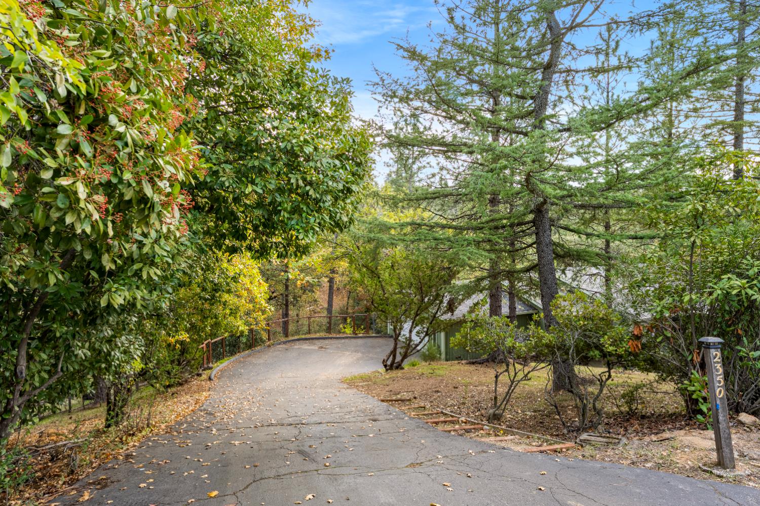 2350 Big Canyon Creek Road Placerville, CA 95667 - Photo 5 of 63 Paved Driveway