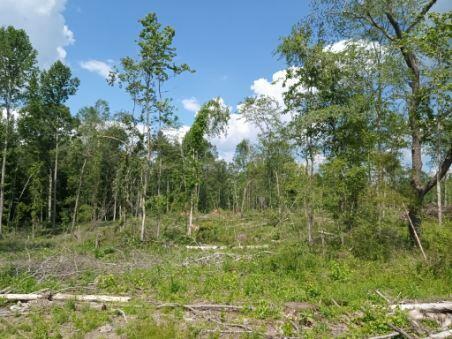 92 11 Foot Road Carbon Hill, AL 35549 - Photo 20 of 23 Gallery Image 20