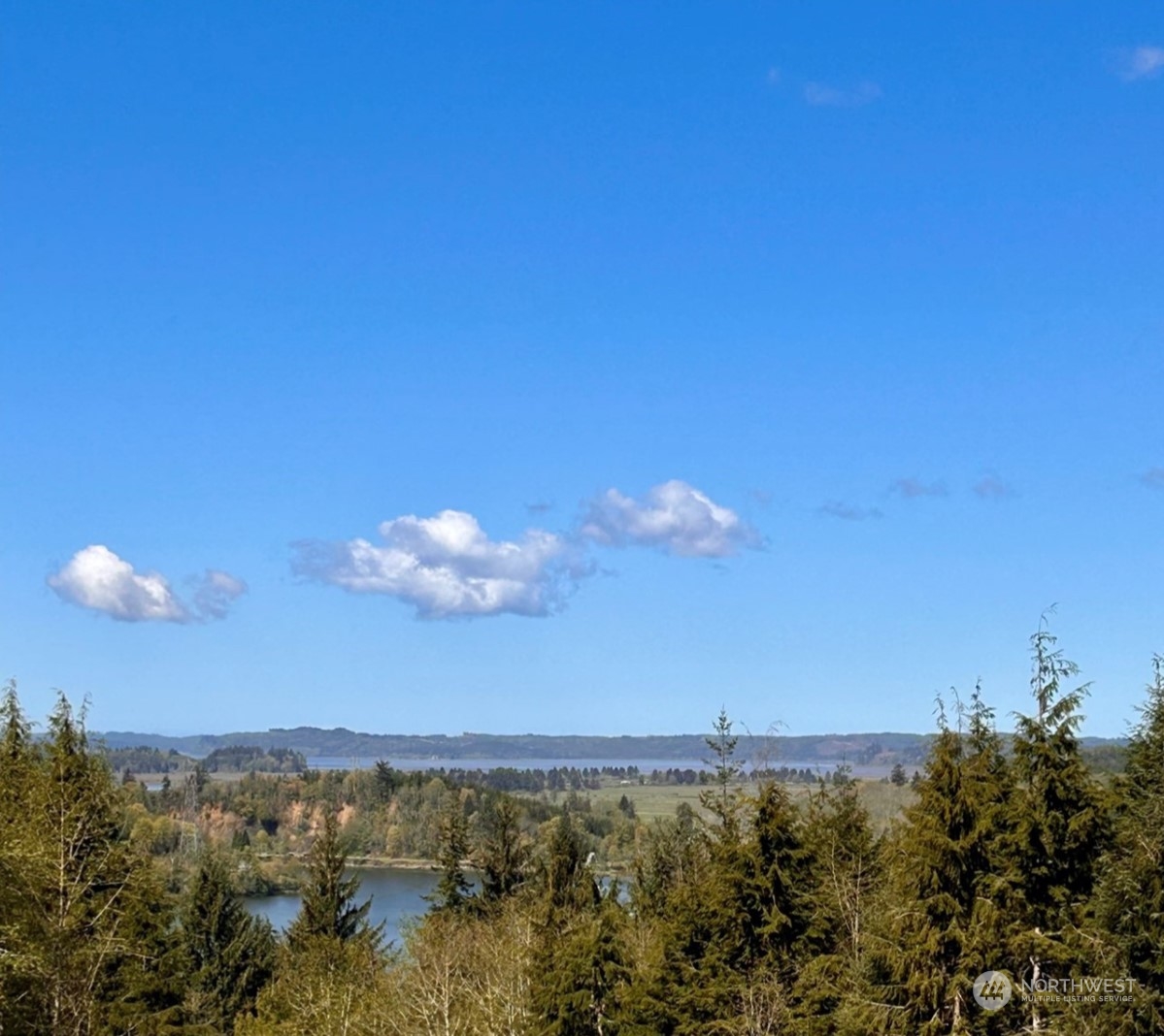 2015 Raymond South Bend Road Raymond, WA 98577 - Photo 7 of 36 Gallery Image 7