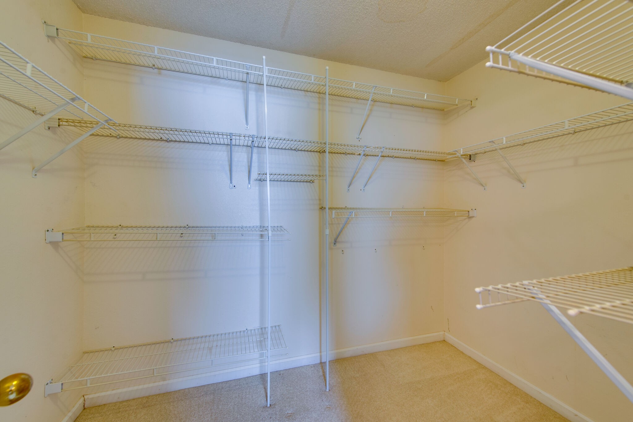 2123 Spring Hill Circle Spring Hill, TN 37174 - Photo 23 of 32 a bathroom with a empty shower