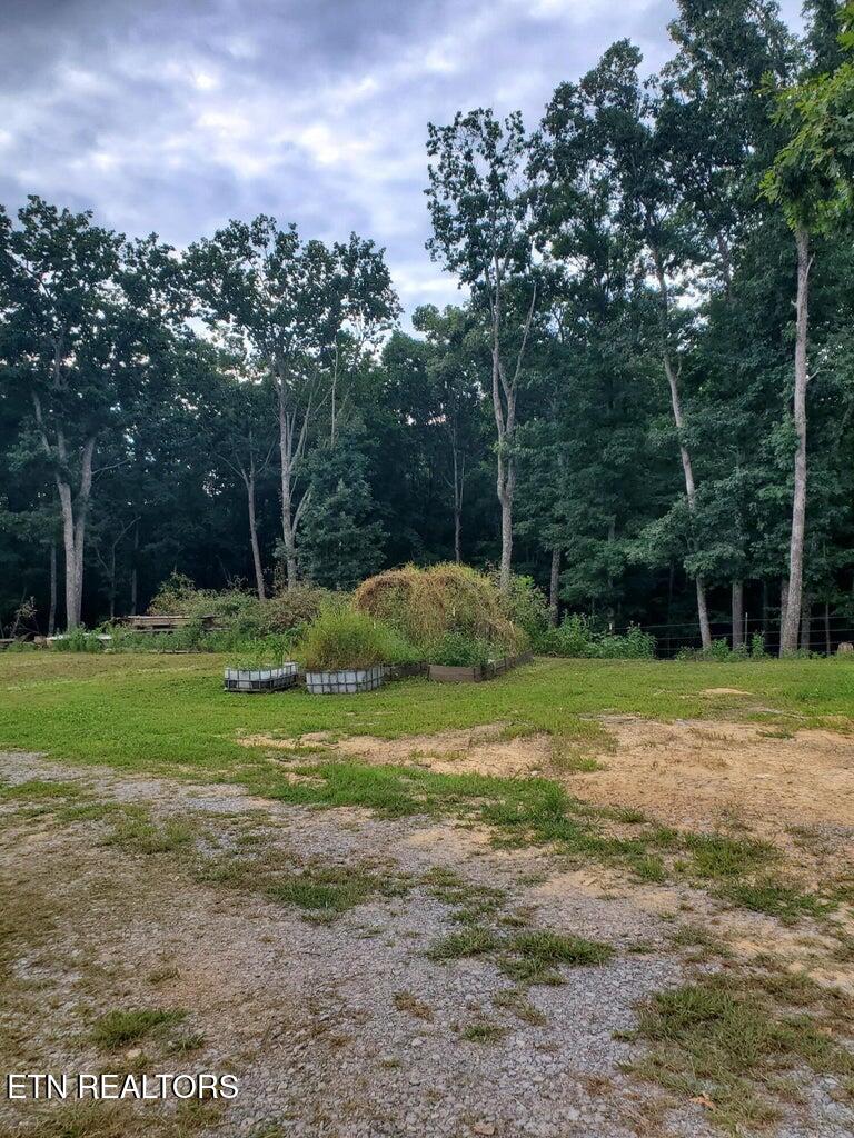 103 Stooping Oak Road Dunlap, TN 37327 - Photo 5 of 33 20260828172307158325000000-o