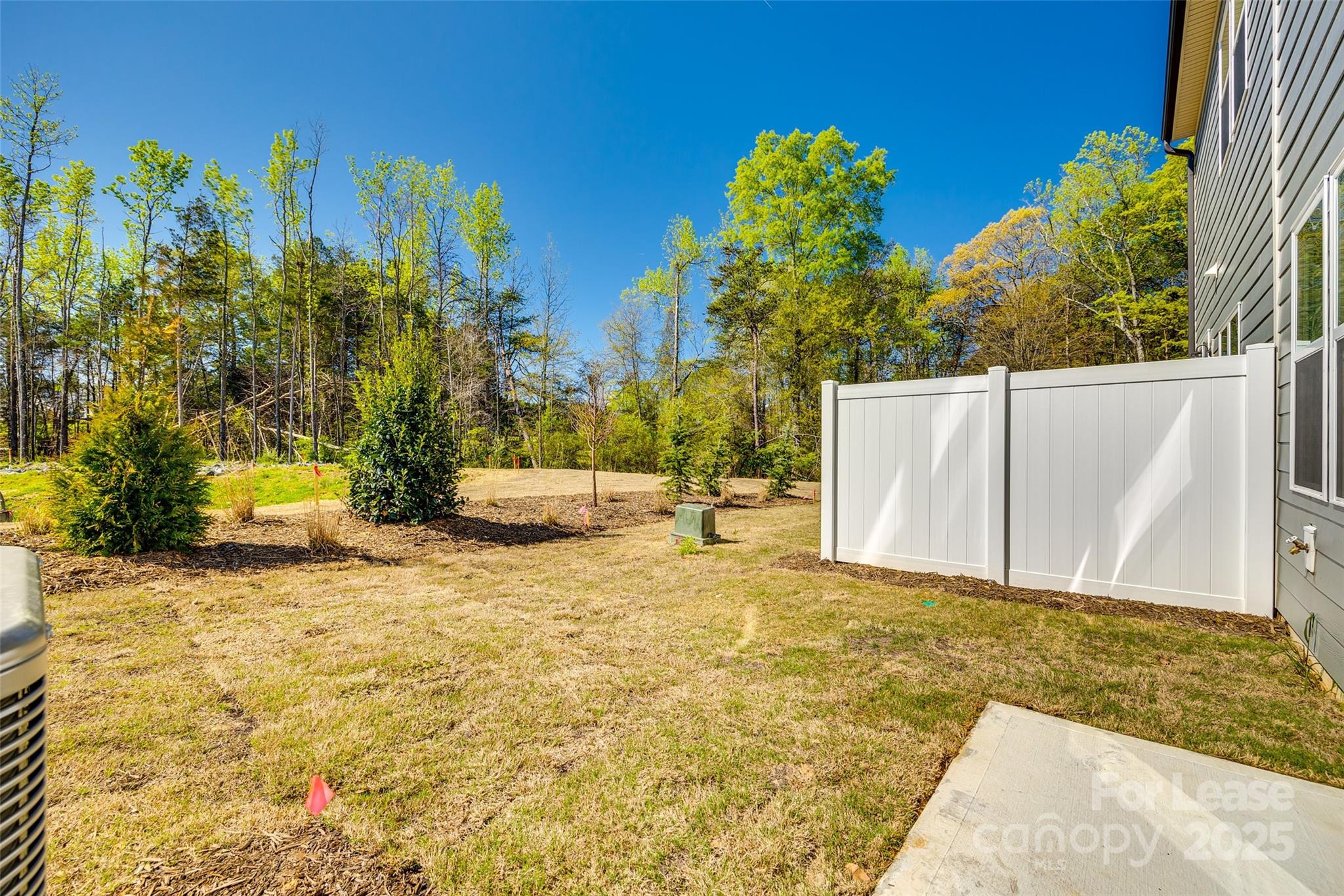 229 Brooks Springs Drive, Unit 34 Fort Mill, SC 29708 - Photo 28 of 31 a view of backyard with tree