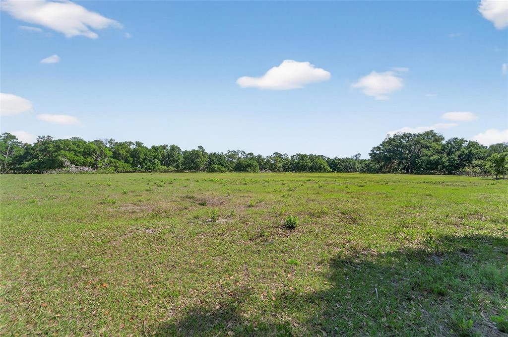 Carlton Road Dover, FL 33527 - Photo 59 of 63