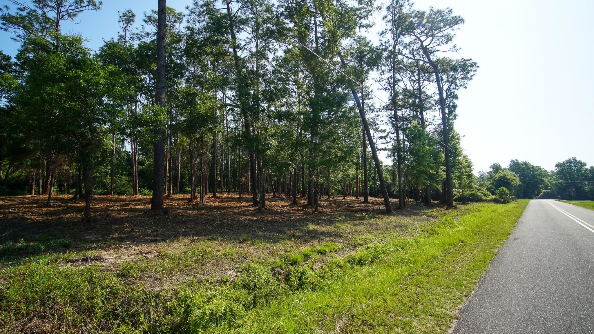 0 Antietam Road Lillian, AL 36549 - Photo 25 of 32
