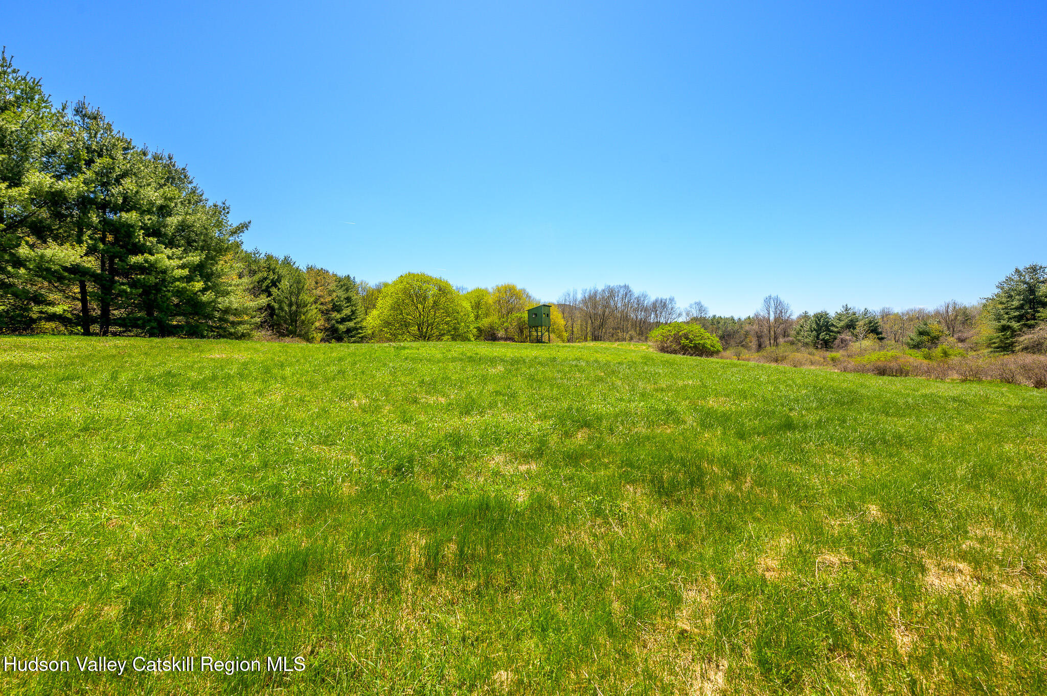 0 Mitchell Street Hillsdale, NY 12529 - Photo 14 of 31 *