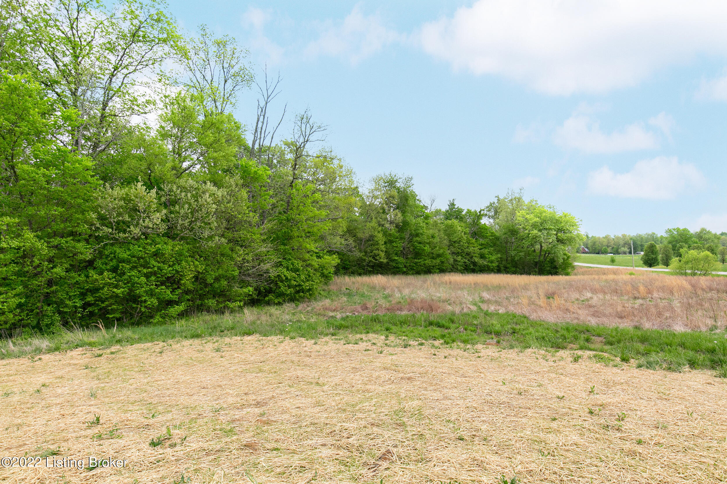 9645 Rhodelia Road Payneville, KY 40157 - Photo 46 of 50 RBWP9385