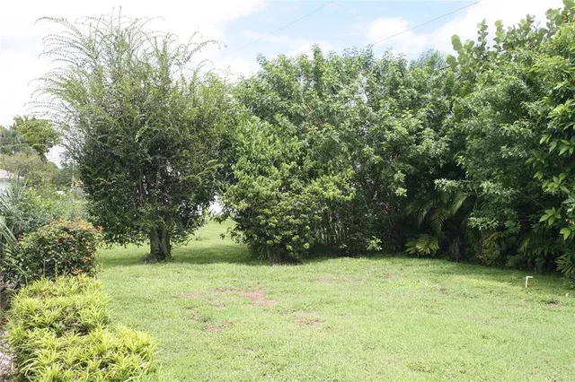 a view of a yard with a tree