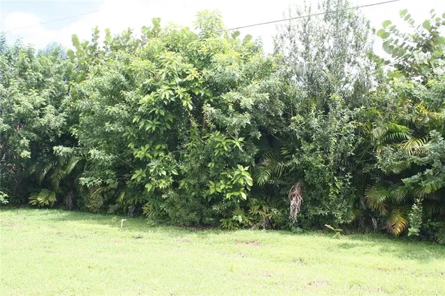 a backyard of a house with lots of green space