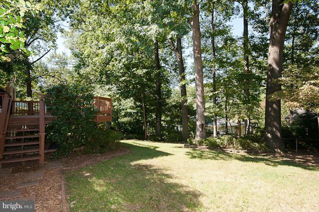 8124 Greeley Boulevard Springfield, VA 22152 - Photo 26 of 30 Exterior (Rear)