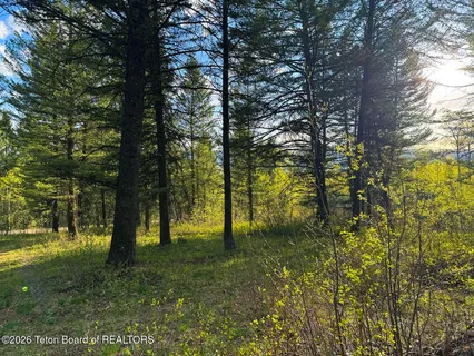 $98,000 | Lot 83 Oak Drive, Star Valley Ranch, WY 83127