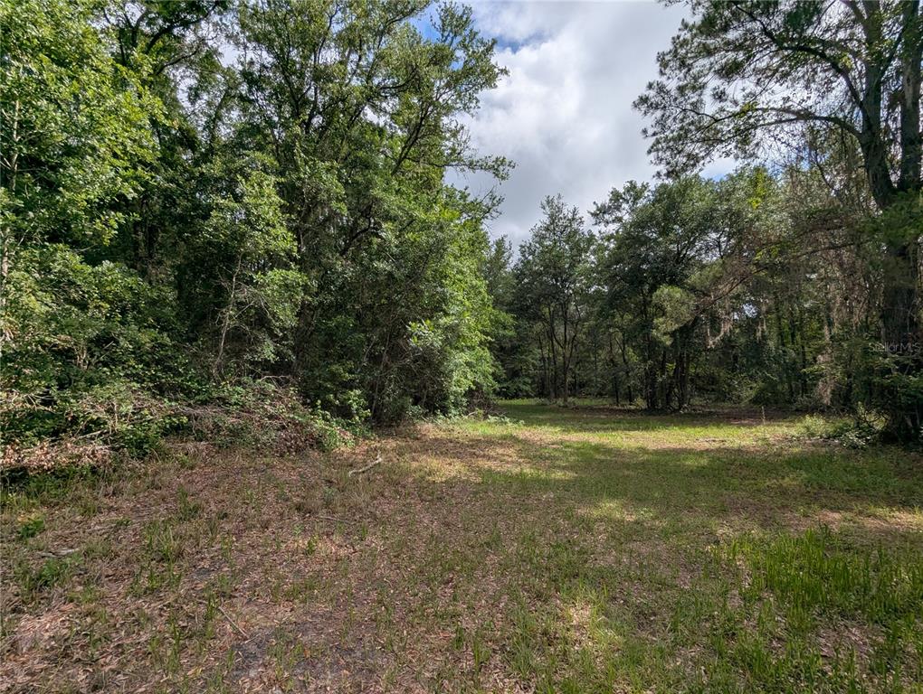 91st Street Alachua, FL 32615 - Photo 18 of 36 a view of a field with trees in the background