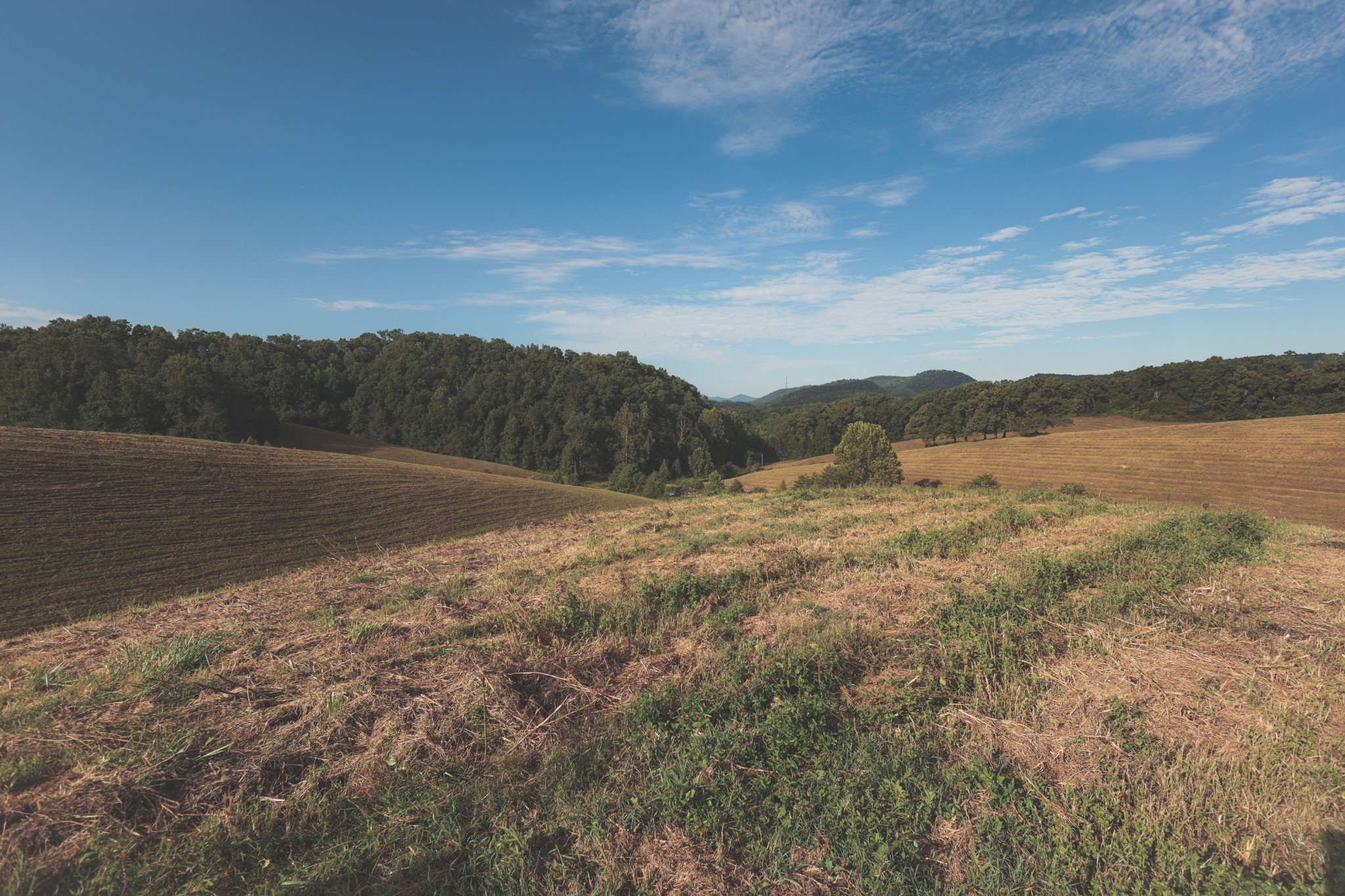 1634 Dixon Branch Road Sevierville, TN 37876 - Photo 55 of 86 Gallery Image 55
