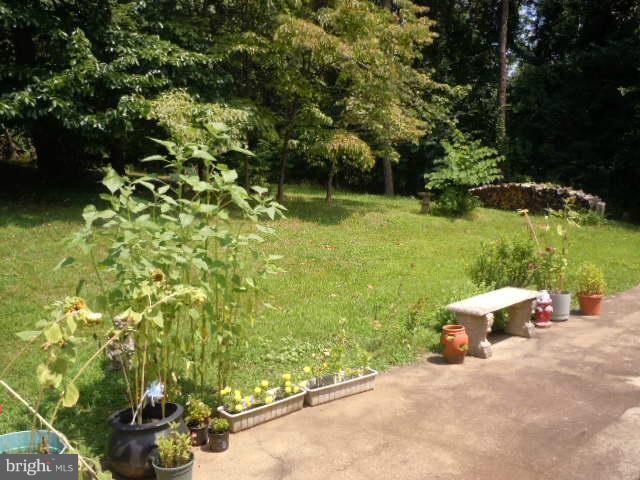 5572 Old Bust Head Road Broad Run, VA 20137 - Photo 11 of 21 Exterior (Rear)