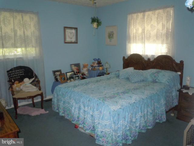 5572 Old Bust Head Road Broad Run, VA 20137 - Photo 4 of 21 Bedroom (Master)