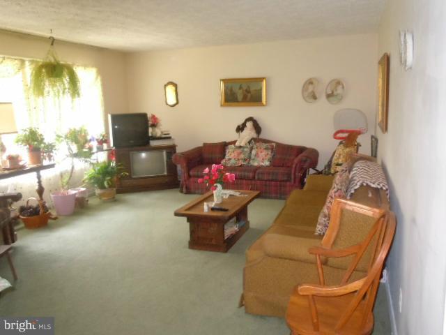 5572 Old Bust Head Road Broad Run, VA 20137 - Photo 8 of 21 Living Room