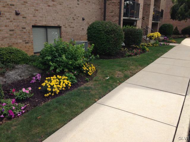 853 Cold Spring Road Allentown, PA 18103 - Photo 2 of 27 a view of a garden with flowers and flowers