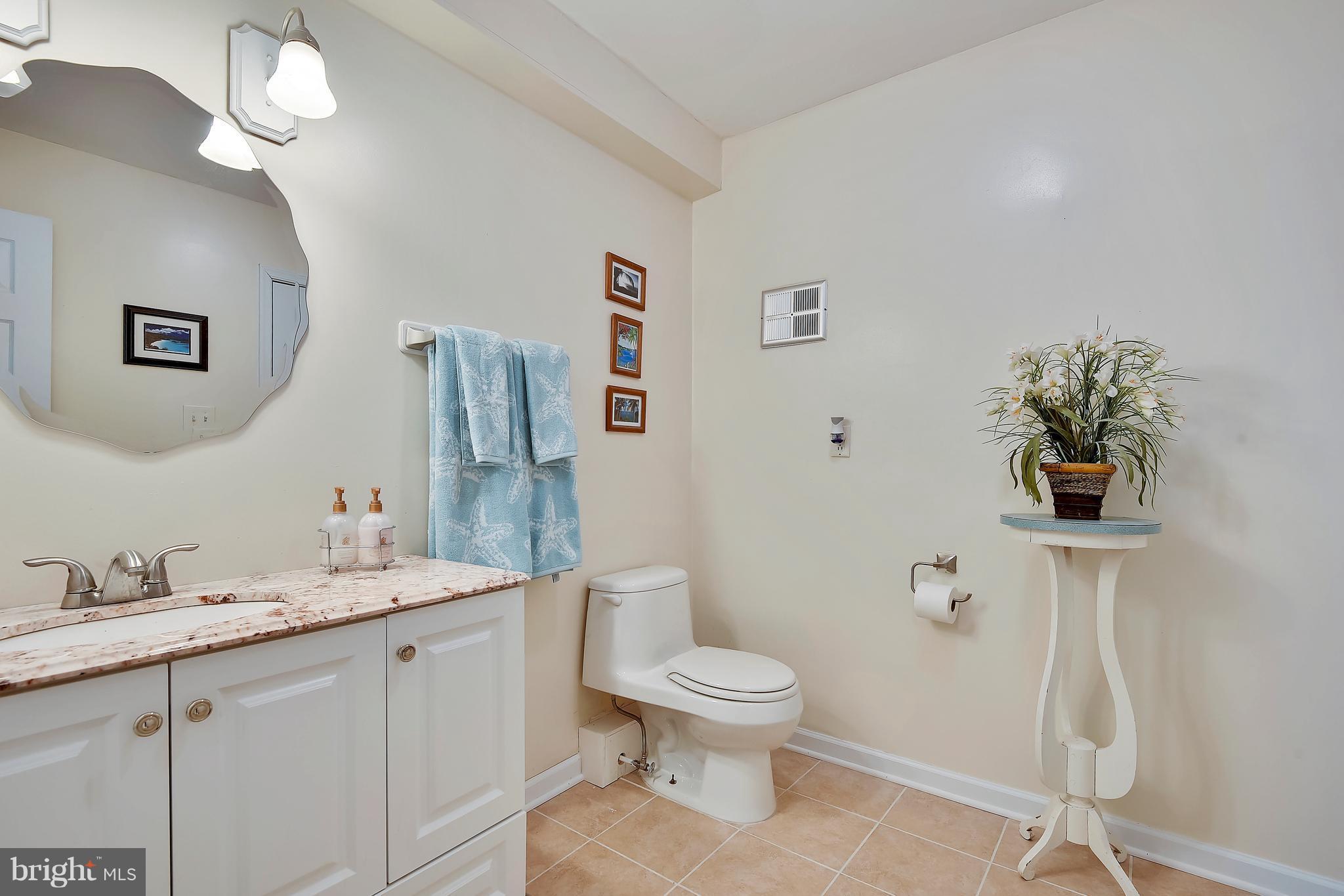 3539 Mail Road Westminster, MD 21157 - Photo 10 of 30 Main Level Bath