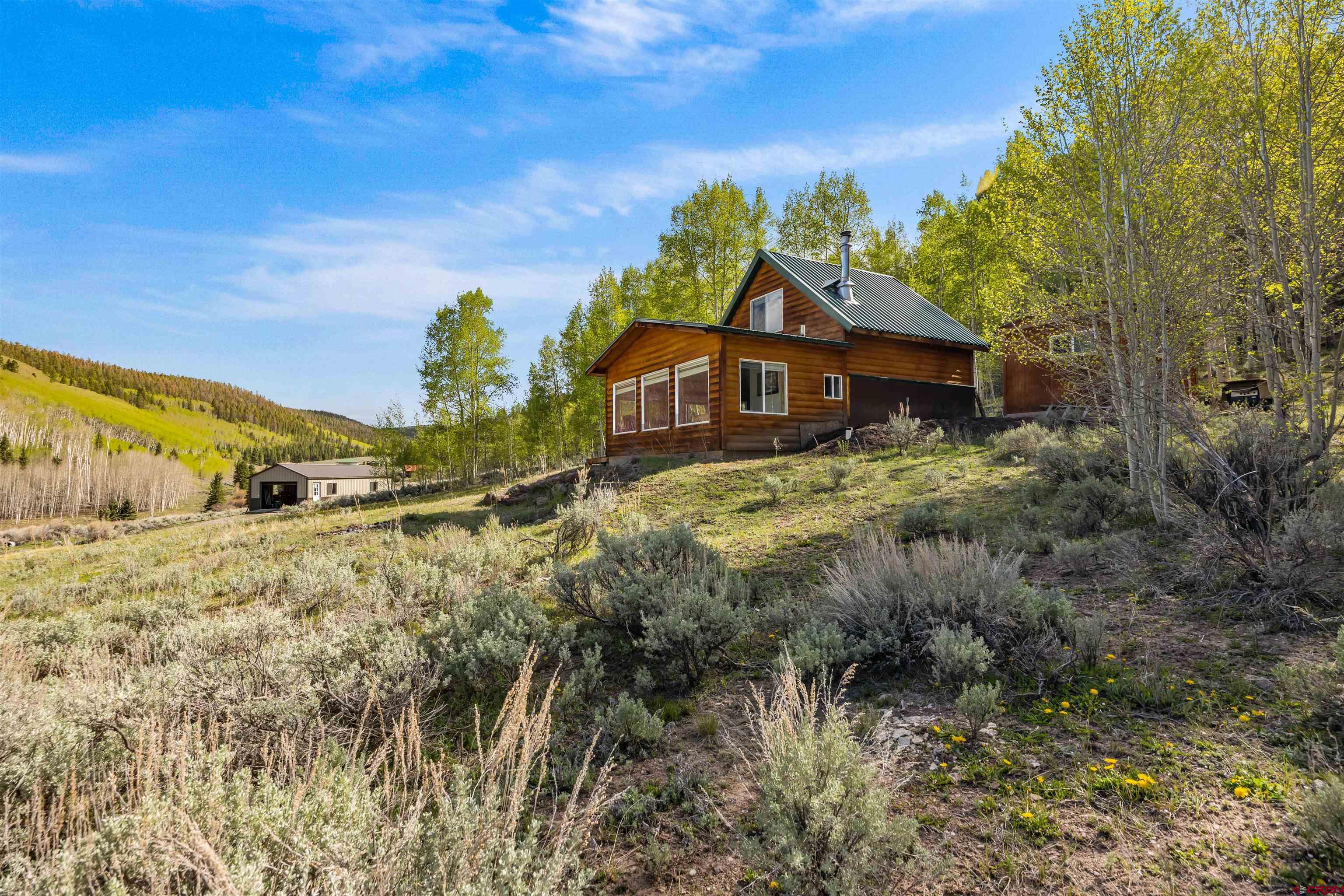 1901 Armitage Springs Road Powderhorn, CO 81243 - Photo 5 of 38 Gallery Image 5