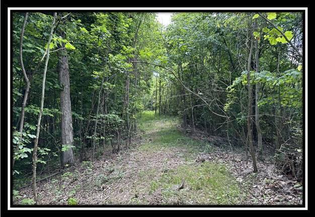 85 Weaver Road, Unit TRACT B) Chillicothe, OH 45601 - Photo 7 of 49 image006
