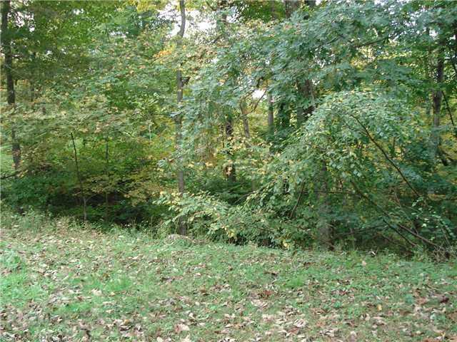 0 Ridge Road Baltic, CT 06330 - Photo 1 of 1 a view of a lush green forest