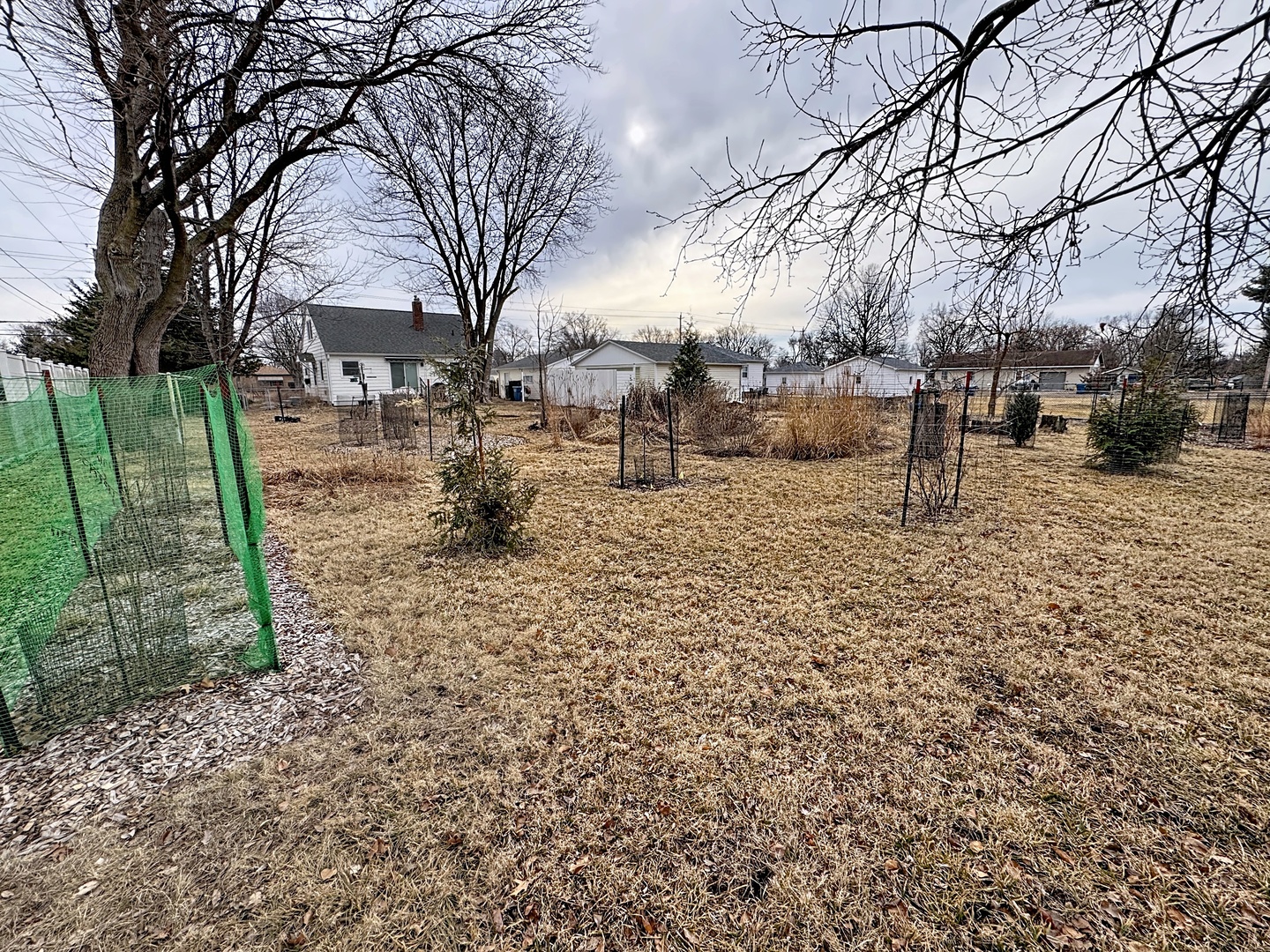 509 40th Street East Moline, IL 61244 - Photo 23 of 23 a row of trees and some trees