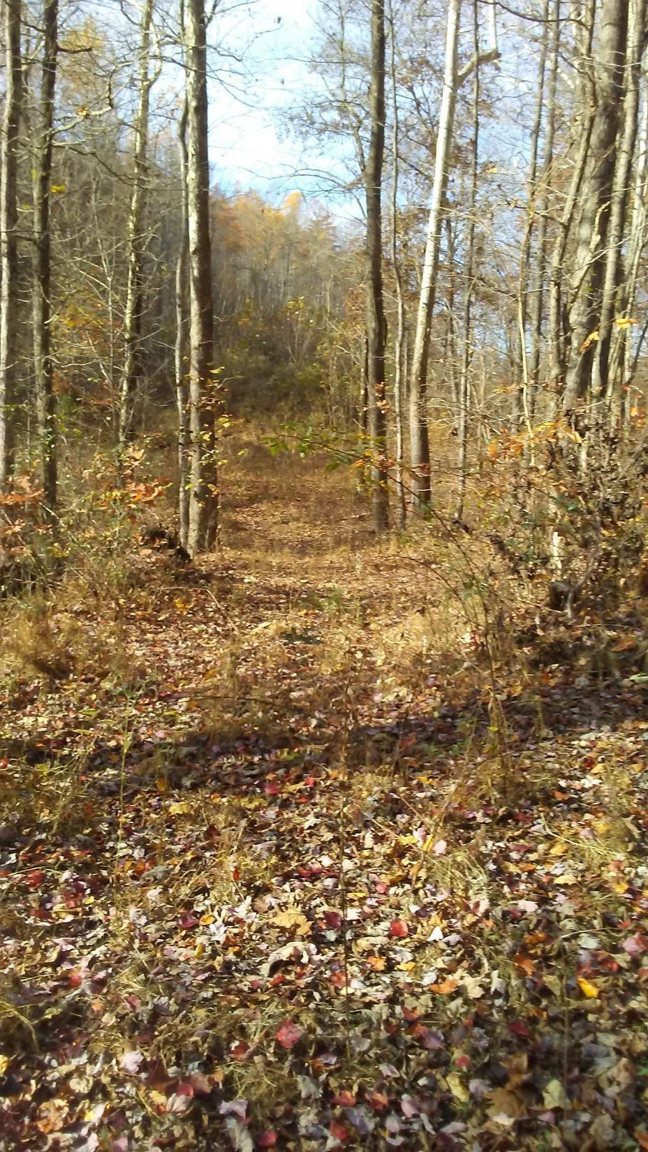 999 Highway 2004-duke Powell Road McKee, KY 40447 - Photo 2 of 10 Photo 2