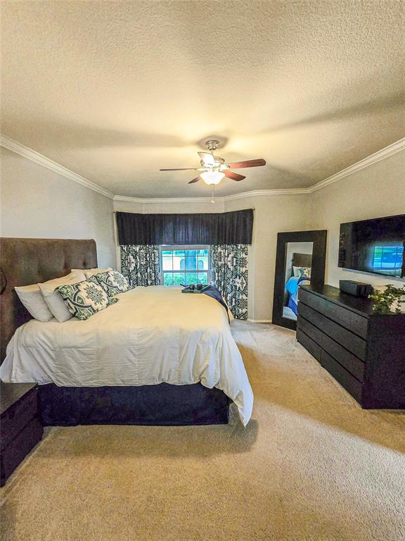 6846 Winston Drive Frisco, TX 75035 - Photo 15 of 32