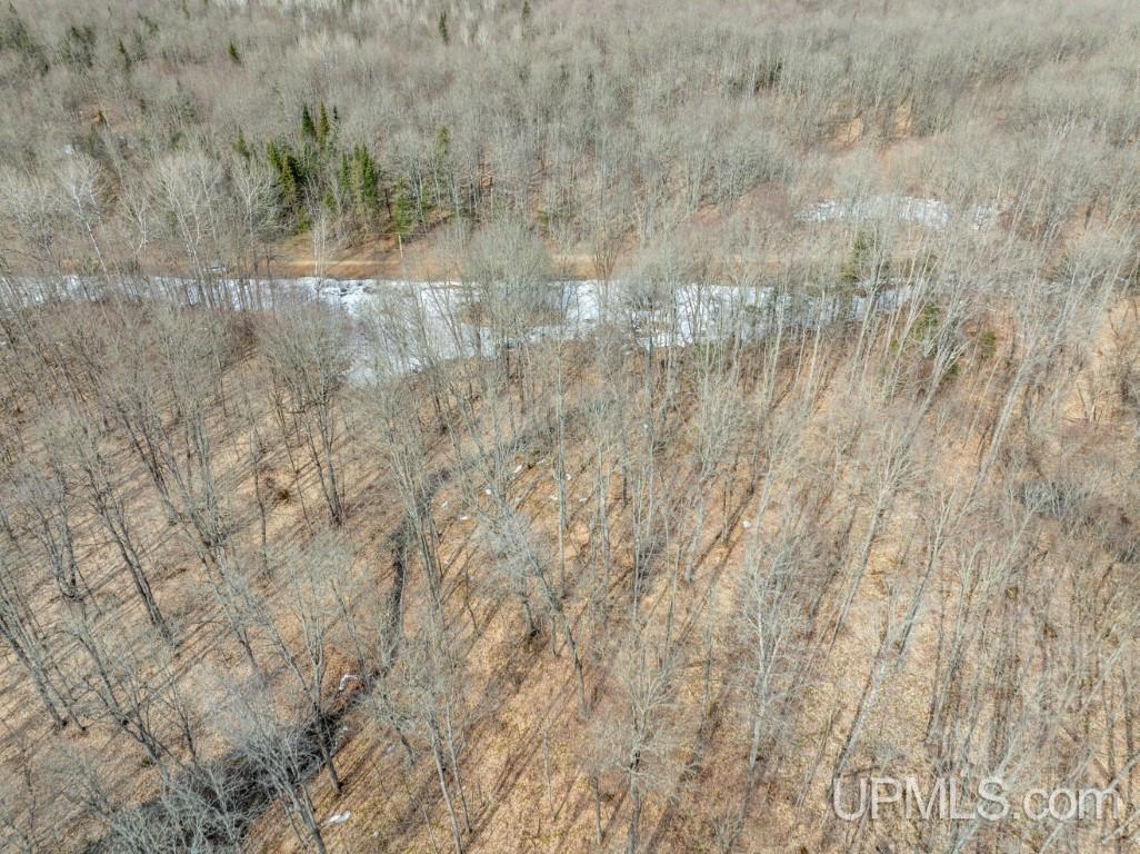 Tbd Tbd 26th Road Chatham, MI 49816 - Photo 13 of 15