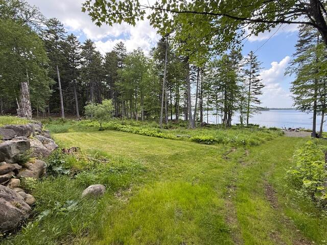 96 Indian Trail Road East Machias, ME 04630 - Photo 37 of 119 IMG_0207