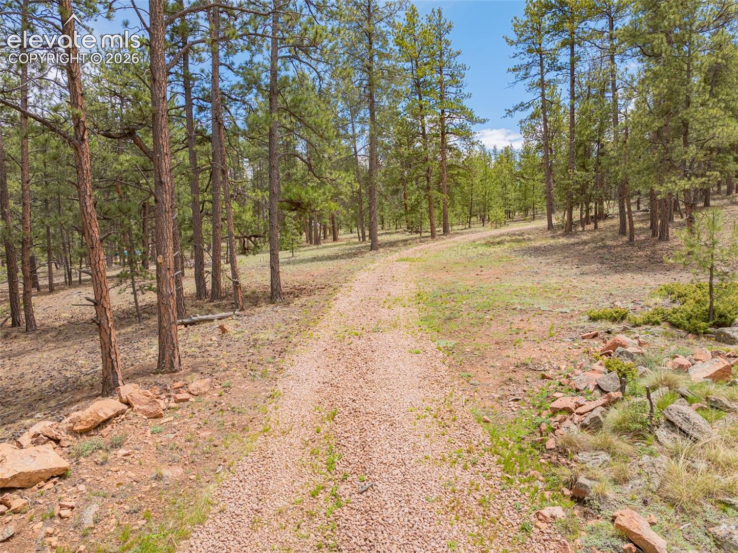 4250 Doe Valley Road Guffey, CO 80820 - Photo 20 of 35