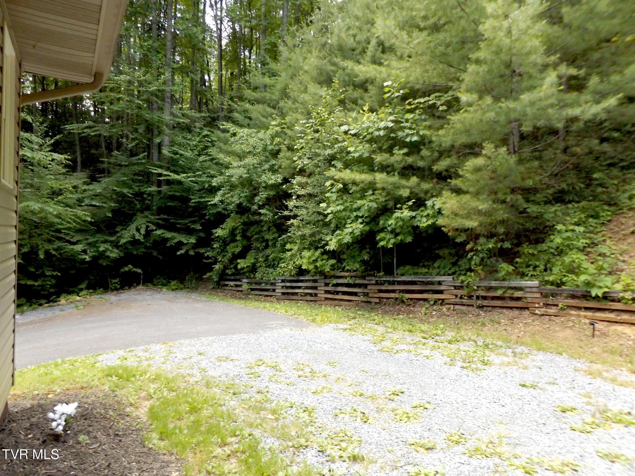 130 Timber Lane Hampton, TN 37658 - Photo 40 of 43 DSCF8279Yard1 (1)