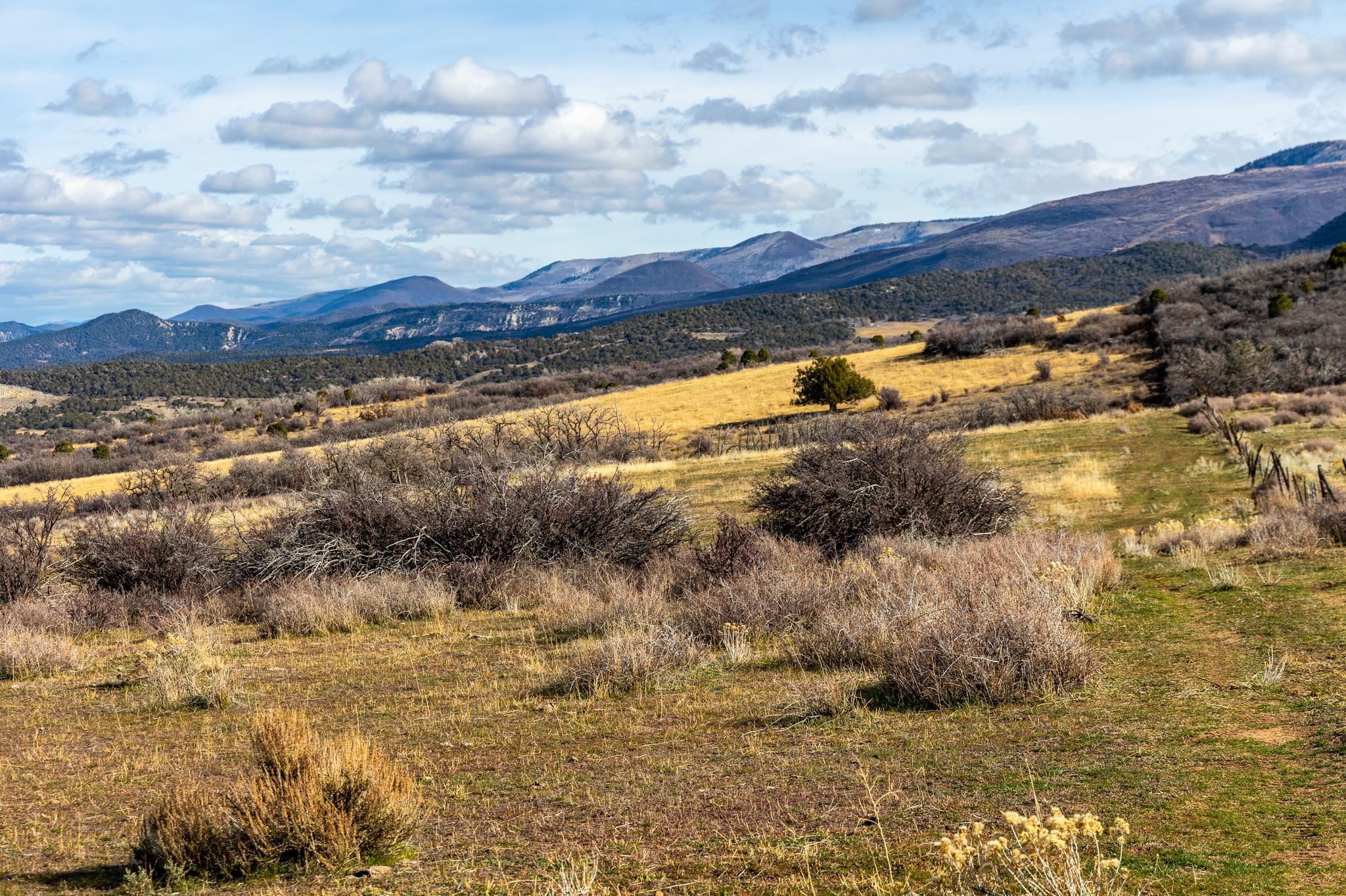 53999 Bull Basin Road Molina, CO 81646 - Photo 11 of 41 a view of mountains and valleys