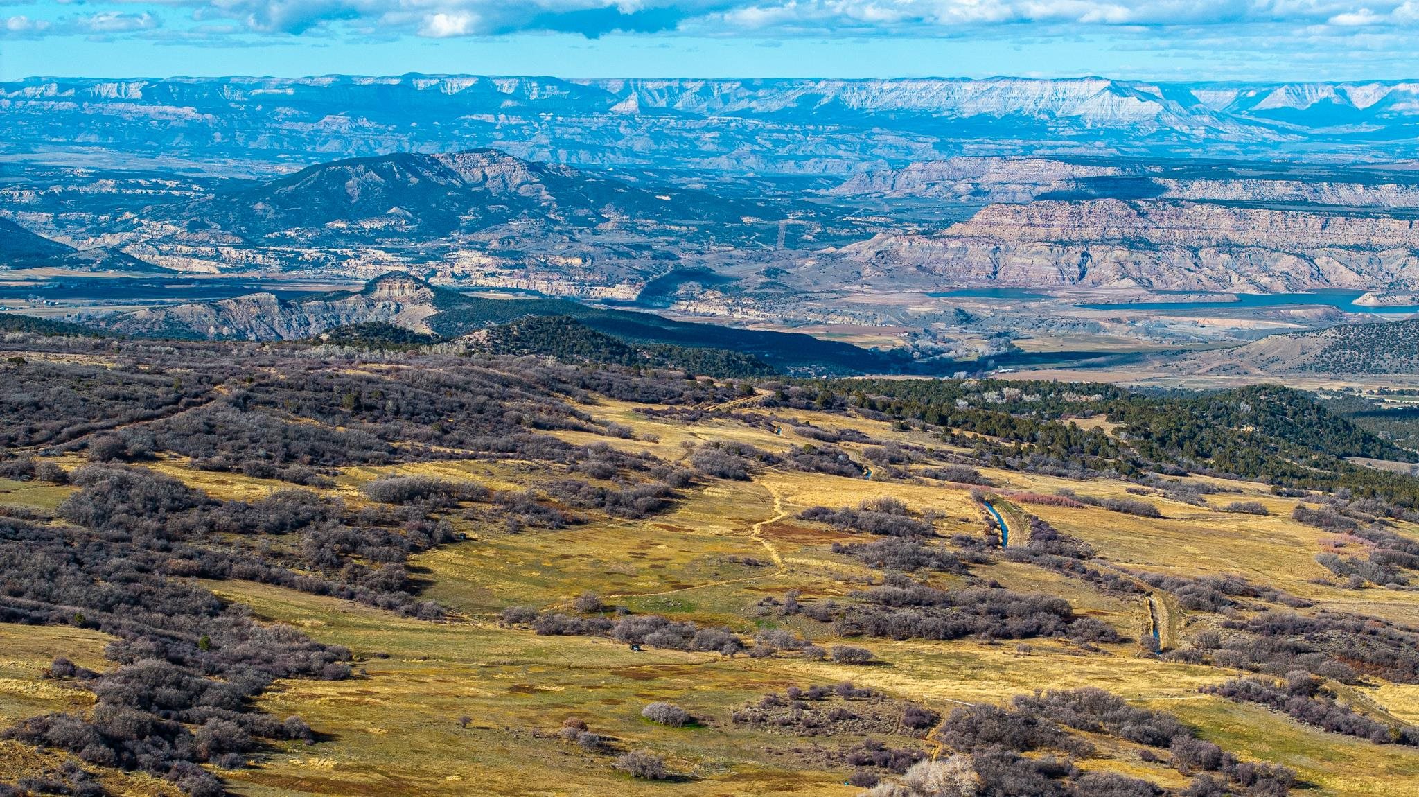 53999 Bull Basin Road Molina, CO 81646 - Photo 14 of 41 a view of a yard with wooden floor