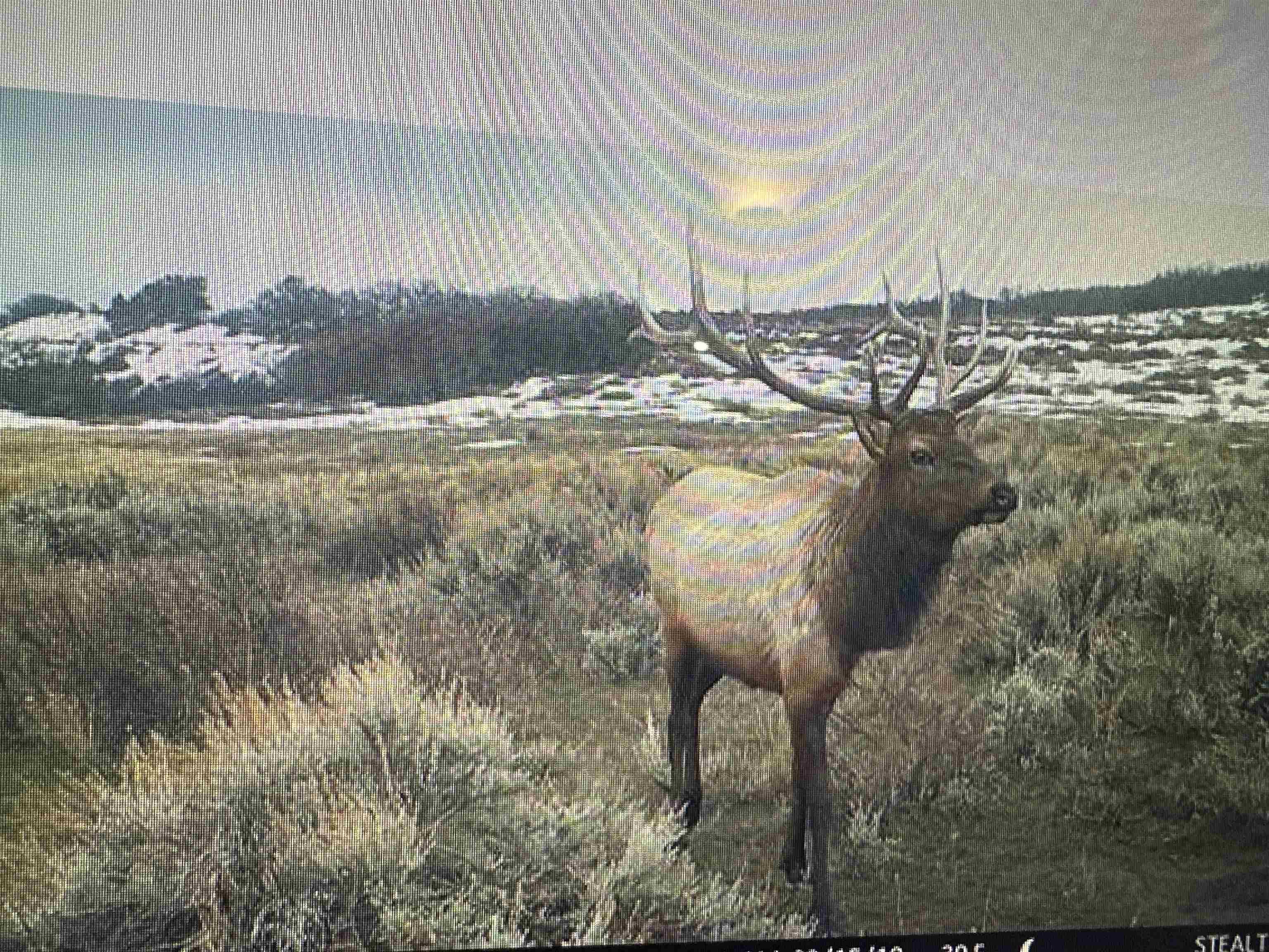53999 Bull Basin Road Molina, CO 81646 - Photo 16 of 41 a view of water heater and trees in the background