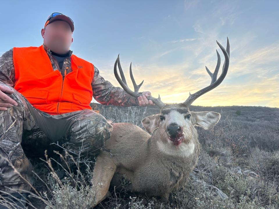 53999 Bull Basin Road Molina, CO 81646 - Photo 19 of 41 a view of entryway