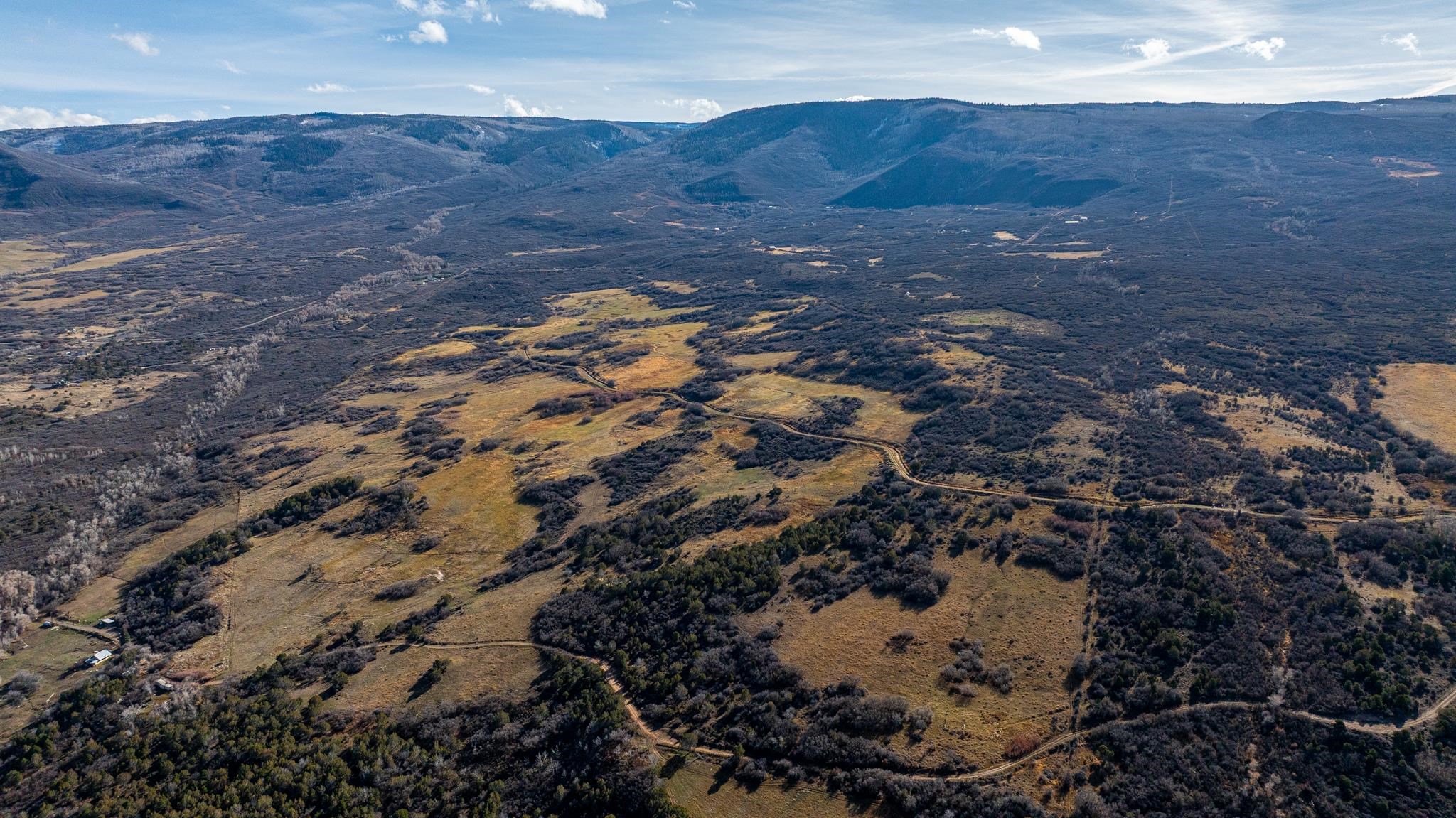 53999 Bull Basin Road Molina, CO 81646 - Photo 21 of 41 a view of outdoor space