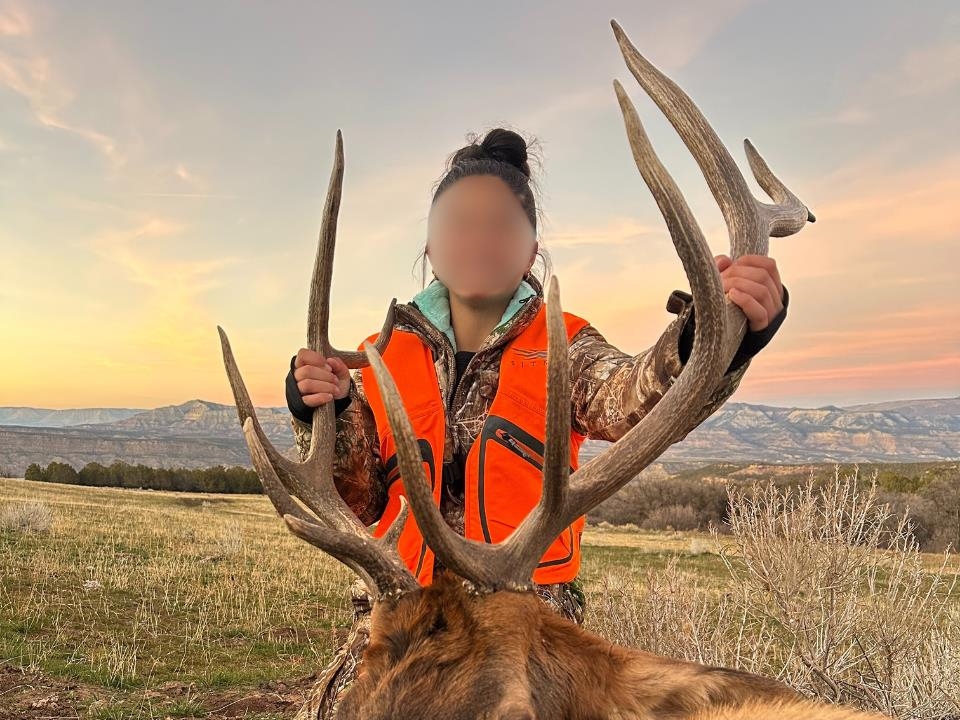 53999 Bull Basin Road Molina, CO 81646 - Photo 23 of 41