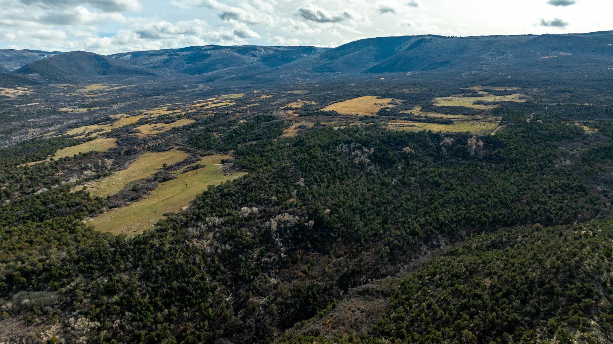 53999 Bull Basin Road Molina, CO 81646 - Photo 28 of 41 a view of a bunch of trees and bushes