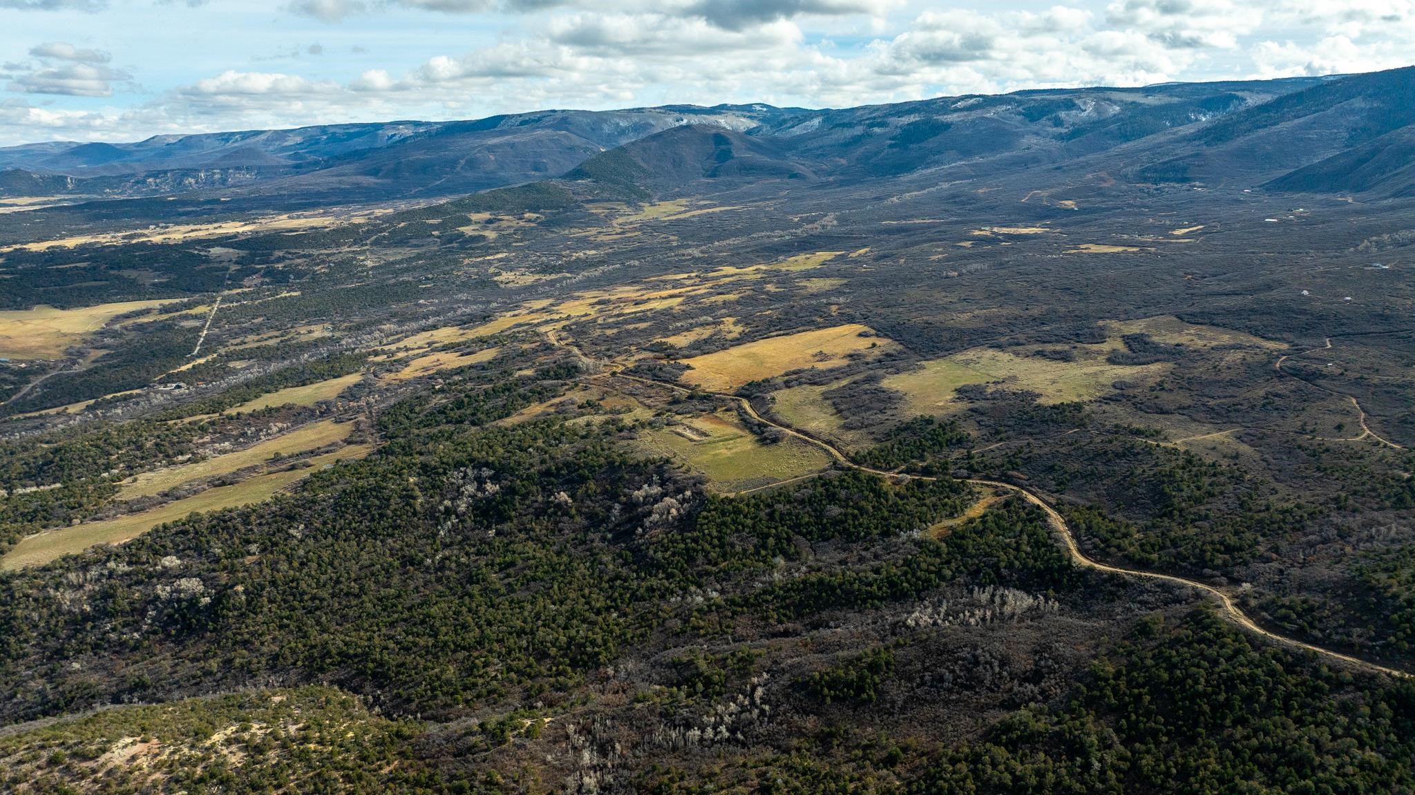 53999 Bull Basin Road Molina, CO 81646 - Photo 3 of 41 a view of outdoor space and mountain view