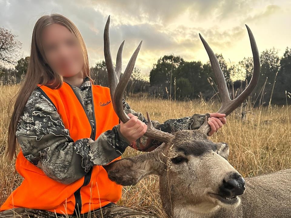 53999 Bull Basin Road Molina, CO 81646 - Photo 37 of 41