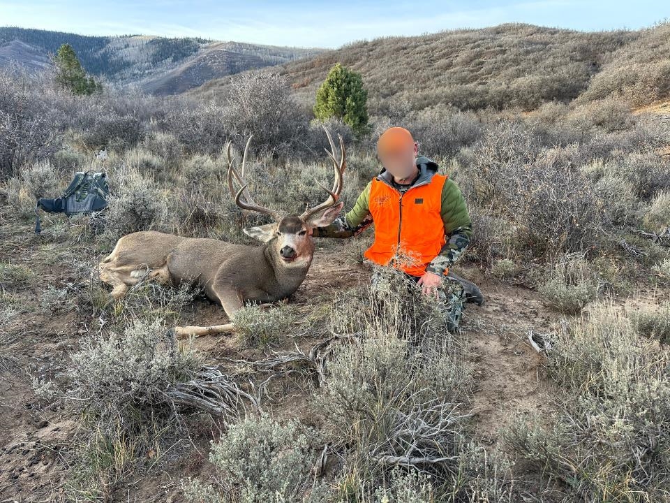 53999 Bull Basin Road Molina, CO 81646 - Photo 38 of 41