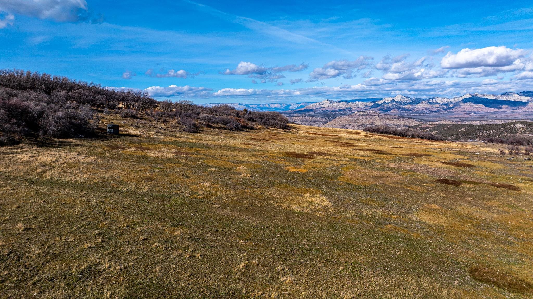 53999 Bull Basin Road Molina, CO 81646 - Photo 39 of 41 a view of an ocean