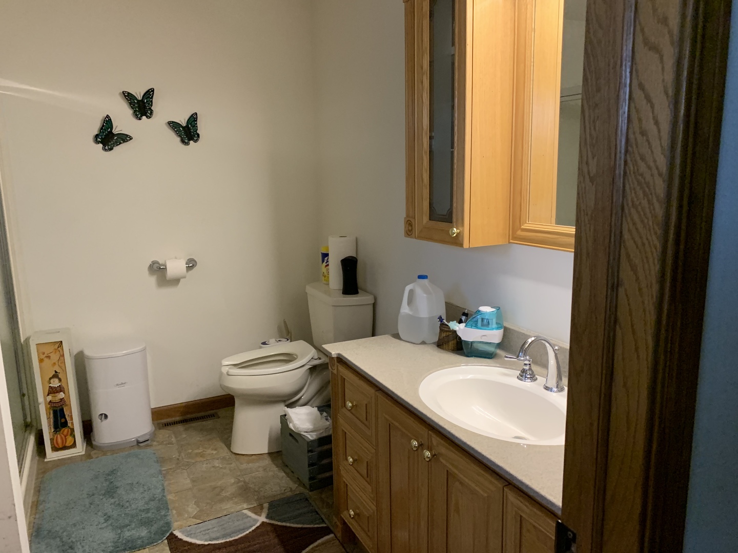 1447 Nauman Road Amboy, IL 61310 - Photo 11 of 37