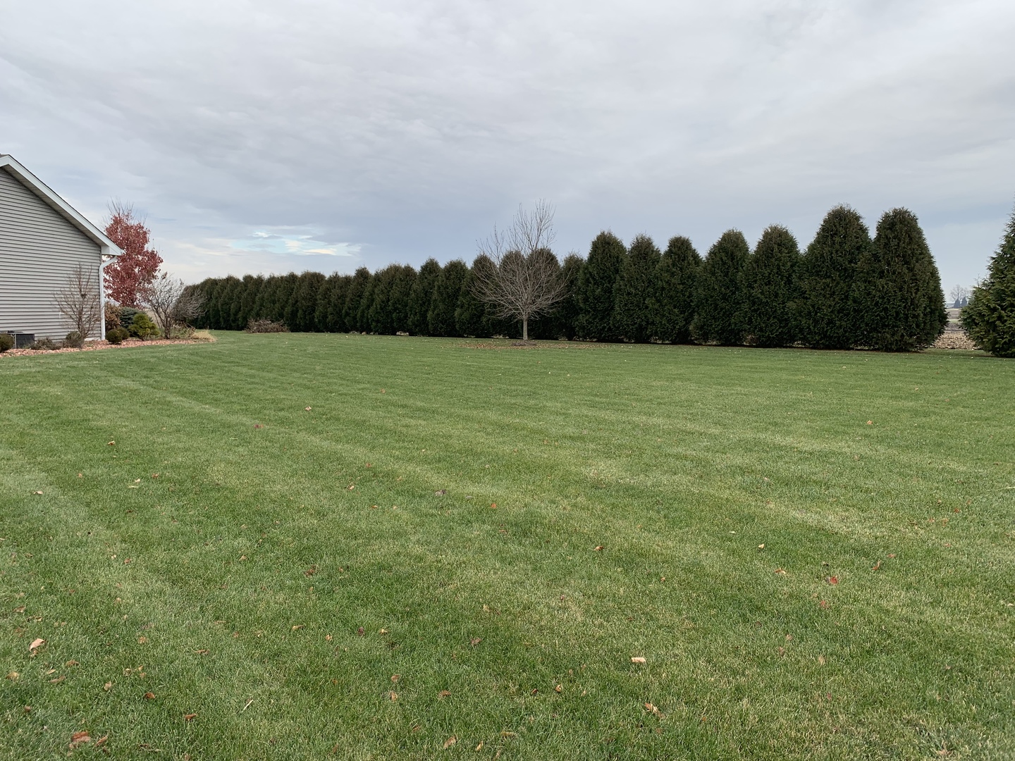1447 Nauman Road Amboy, IL 61310 - Photo 31 of 37