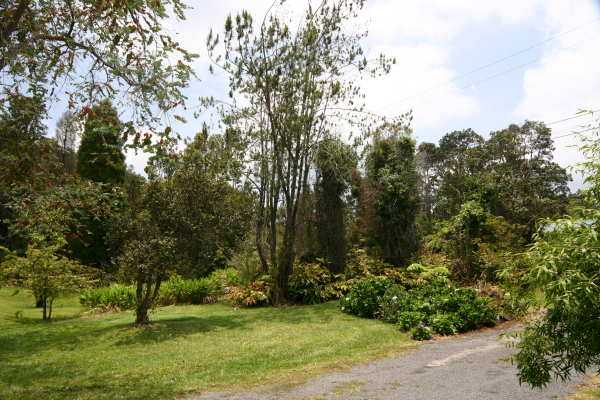 19-4184 Rd C Volcano, HI 96785 - Photo 14 of 40 Gallery Image 14