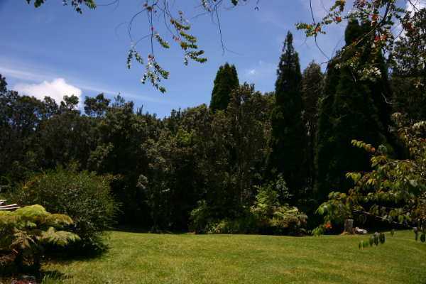 19-4184 Rd C Volcano, HI 96785 - Photo 34 of 40 Gallery Image 34