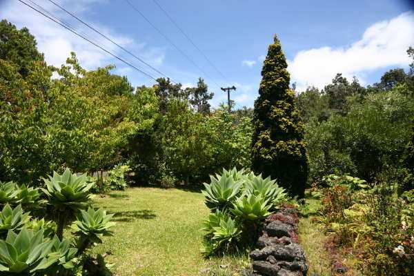 19-4184 Rd C Volcano, HI 96785 - Photo 40 of 40 Gallery Image 40