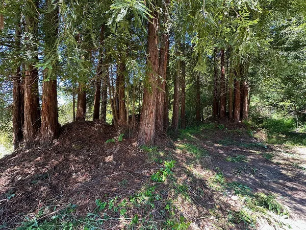 $5,999,999 | 5601 Freedom Boulevard, Aptos, CA 95003